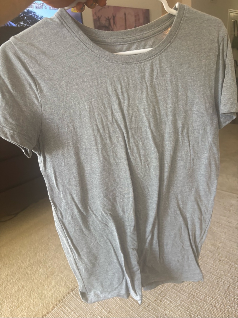 Source Unknown Men's Short Sleeve Crew Neck Tee - Light Gray